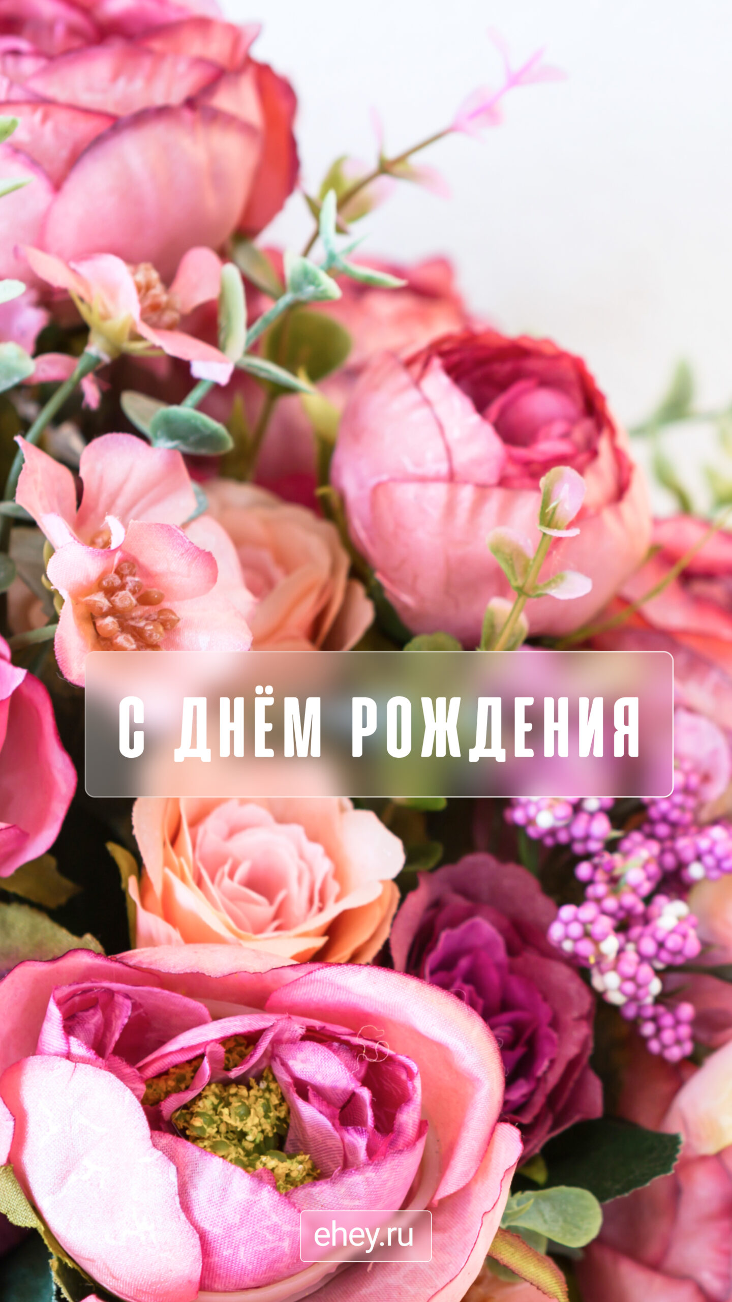 Прикольные Поздравления c днем Рождения Подруге | ВКонтакте